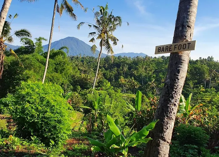 Hara Bali Eco *