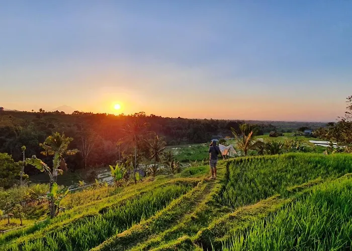 Orman Evi Hara Bali Eco Angsri