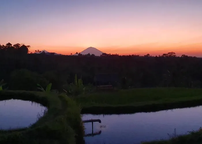 Hara Bali Eco Orman Evi Angsri