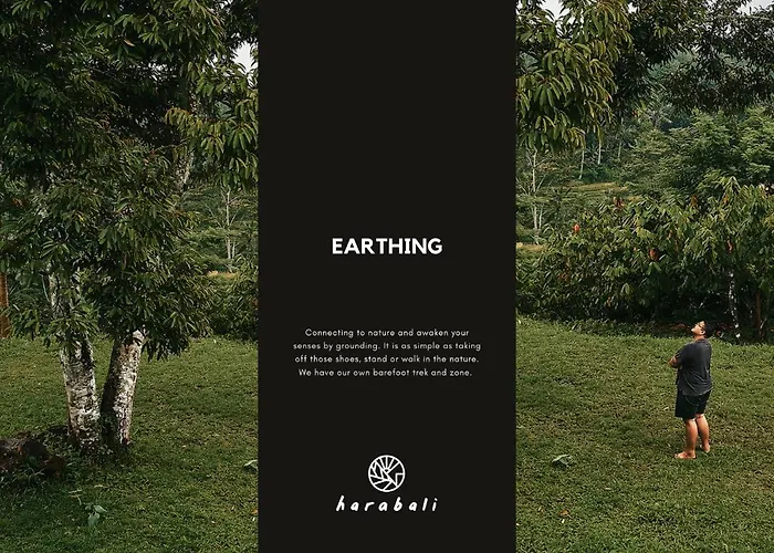 Hara Bali Eco Orman Evi *