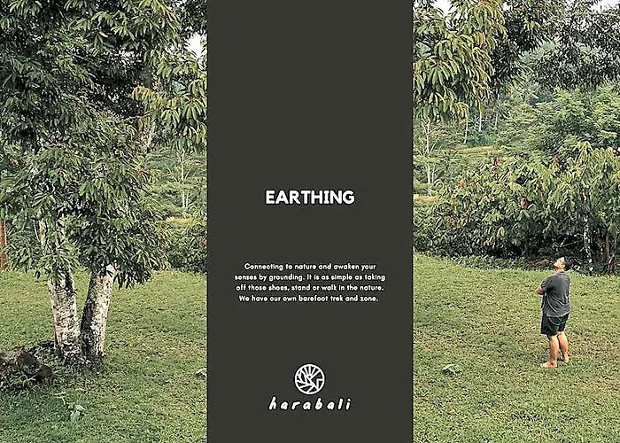 Orman Evi Hara Bali Eco Angsri