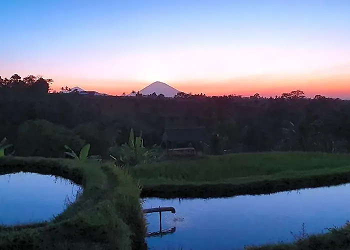 Orman Evi Hara Bali Eco